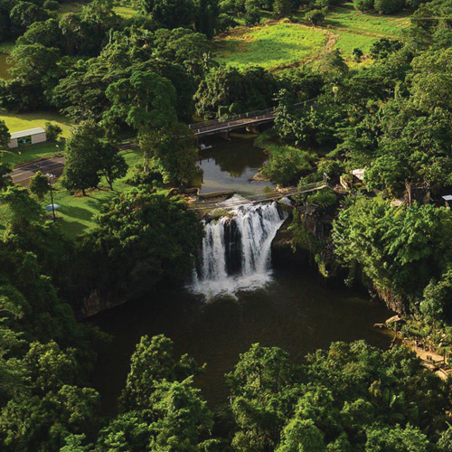 {{brizy_dc_image_alt imageSrc=